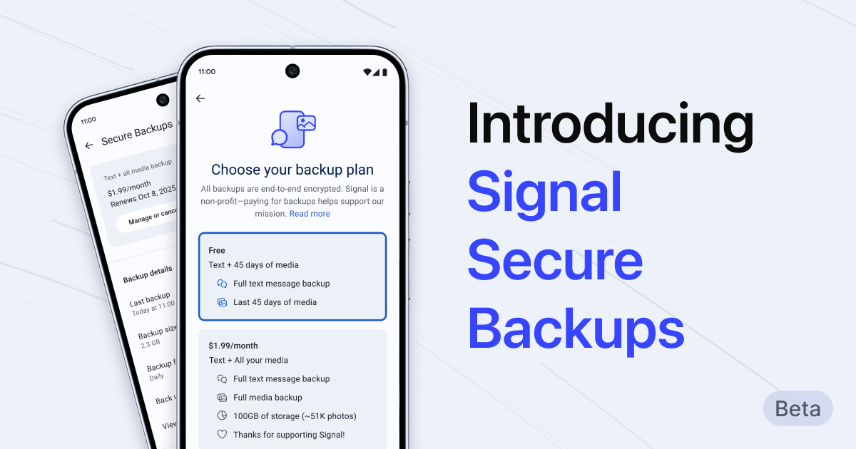 What are the criteria for checking for WhatsApp Business activated phone numbers? Explained in one article